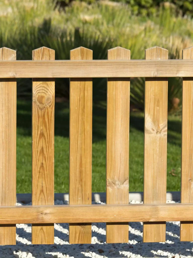 Affordable-Fence-Painting-in-North-Phoenix